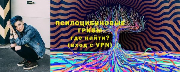 амф Алзамай