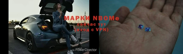 хмурый Алексин
