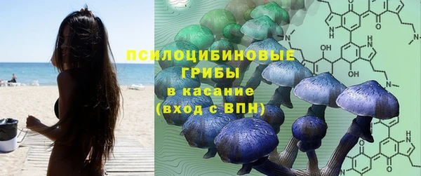 экстази Алексеевка
