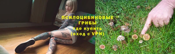 амф Алзамай