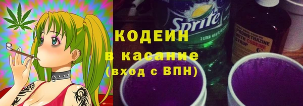 хмурый Алексин